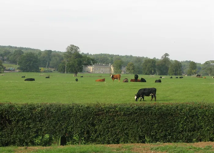 Moo Cow Cottage Self Catering