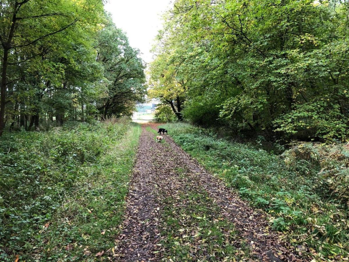 Moo Cow Self Catering Farm stay