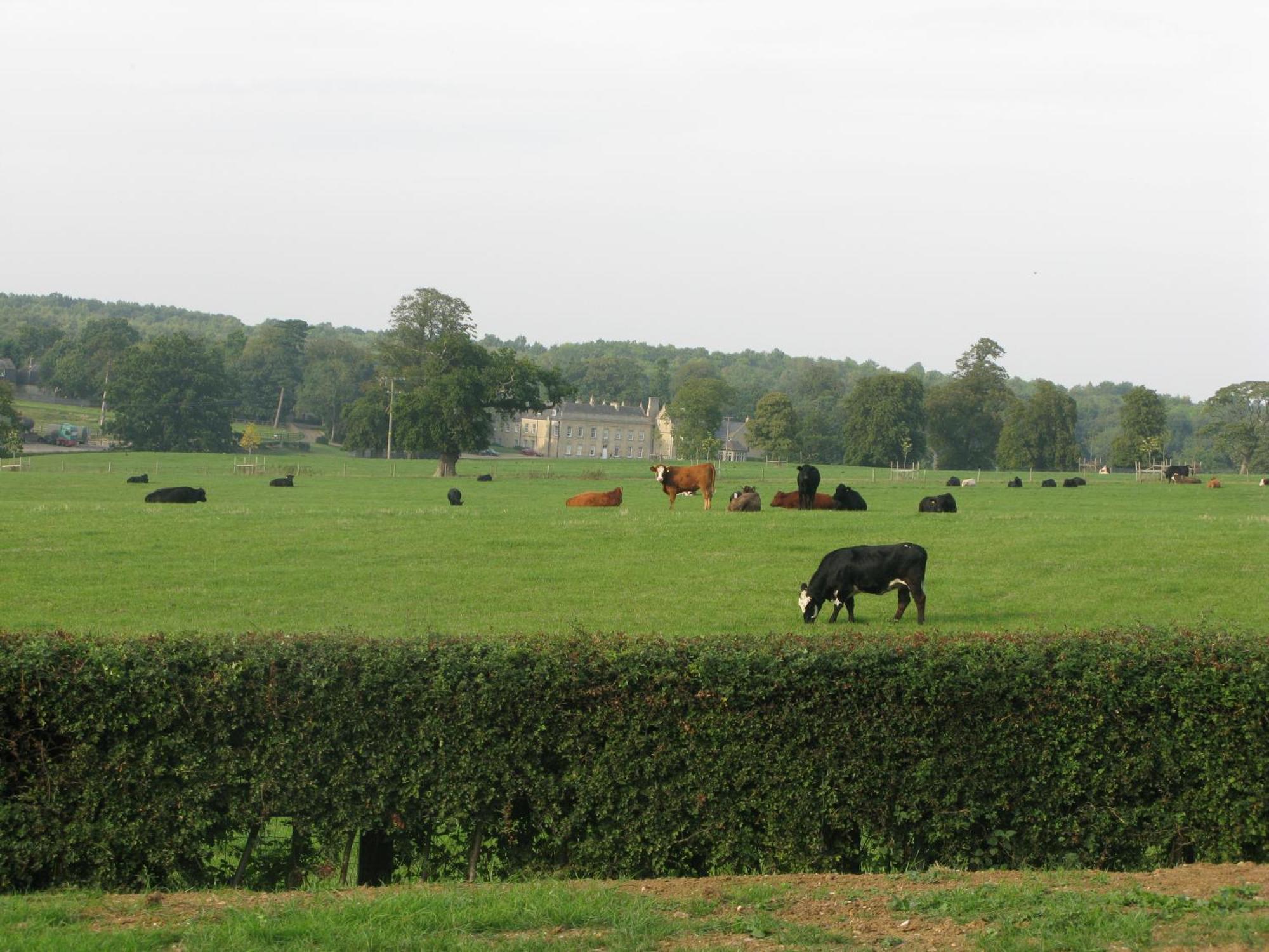 Farm stay Moo Cow Self Catering