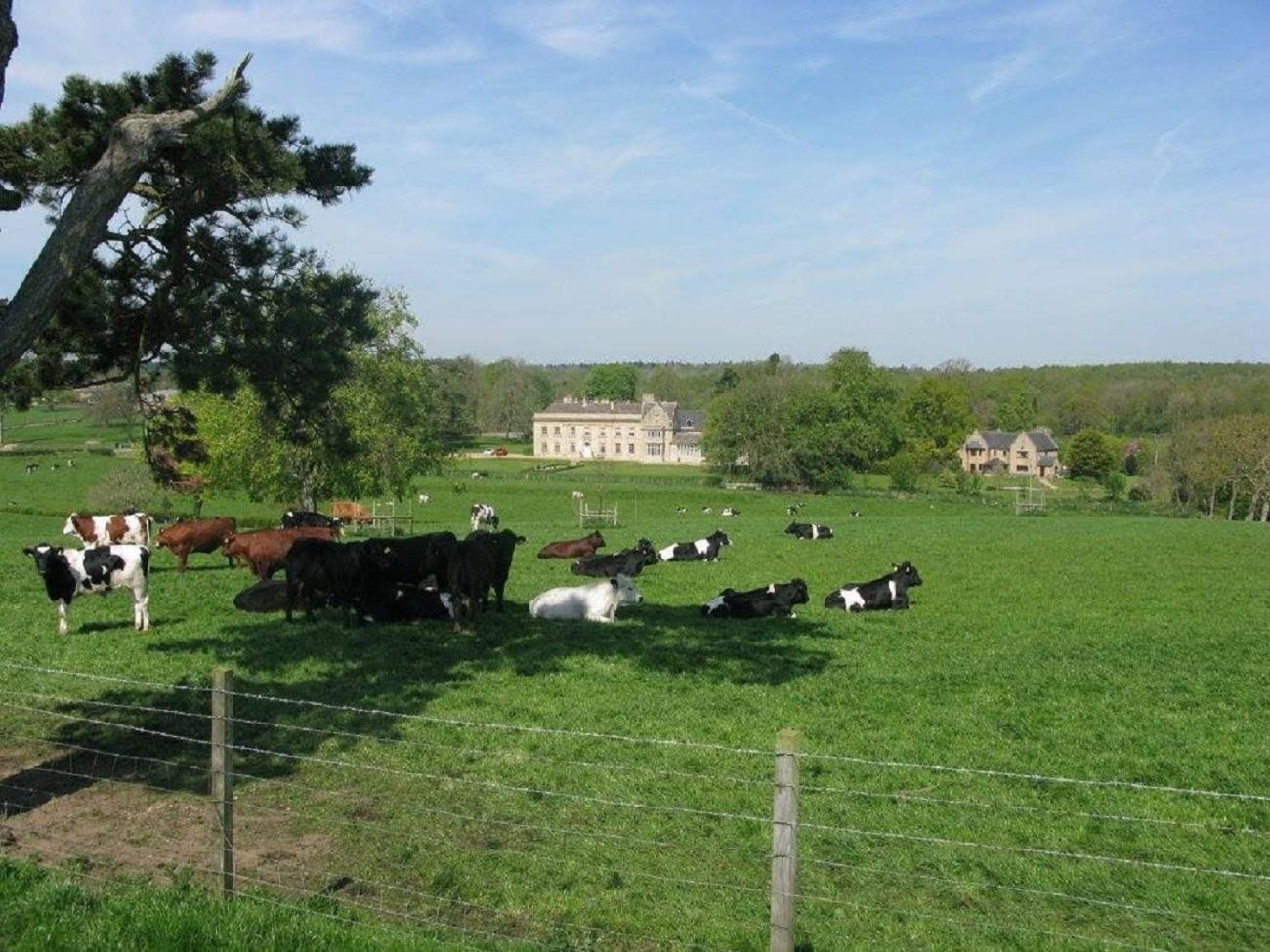 Farm stay Moo Cow Self Catering *