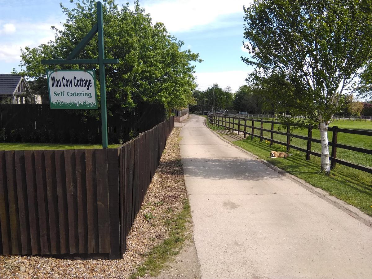 Farm stay Moo Cow Self Catering Oakham