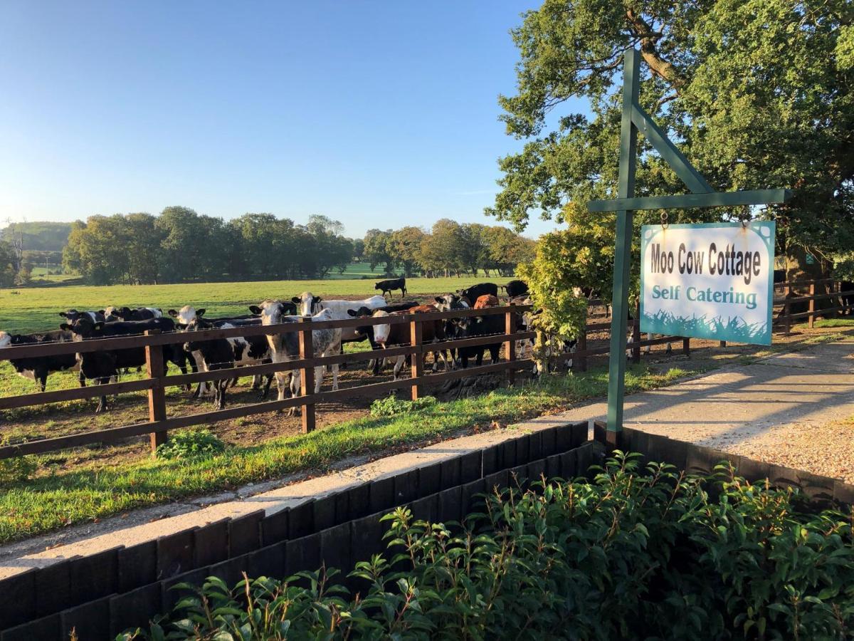 Moo Cow Self Catering